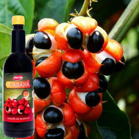 Guarana syrup (G-Nutre) - 900ml