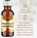 PROPOLIS TINCTURE - ALCOHOL FREE (DUTCHMAN’S) - 50ml